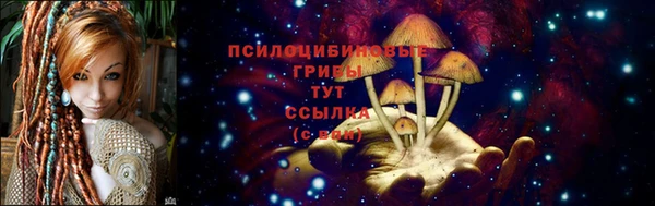 а пвп мука Белокуриха