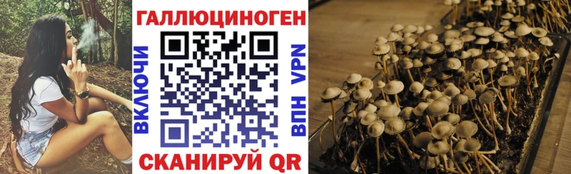 OMG рабочий сайт Пыть-Ях Галлюциногенные грибы Psilocybe